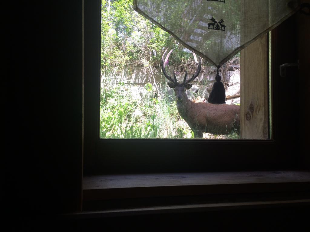 Chalet Pomme De Pin 5 Chambres 12 A 14 Personnes Formiguères Εξωτερικό φωτογραφία
