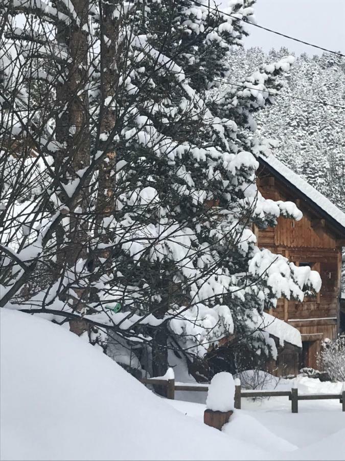 Chalet Pomme De Pin 5 Chambres 12 A 14 Personnes Formiguères Εξωτερικό φωτογραφία